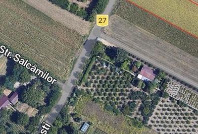 Spațiu comercial, în Chirnogi