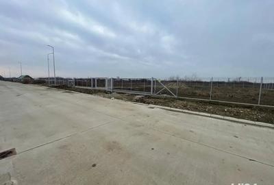 Teren de 2300 mp, în Torontalului - 5