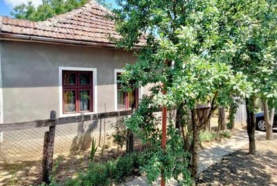 Casă cu 2 camere în Șimian - 3