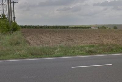 Teren Construcții extravilan de 25000 mp, în Mihail Kogălniceanu - 6