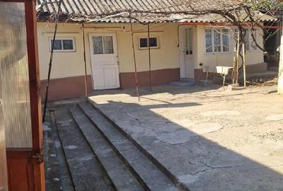 Casă cu 3 camere cu Teren 1352 Mp în Horia - 12
