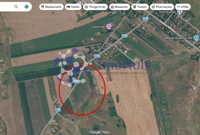 Teren de 10000 mp, în Rediu