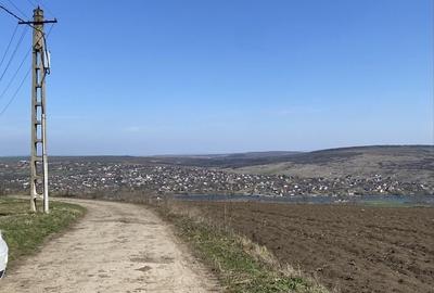Teren de 3755 mp, în Șorogari