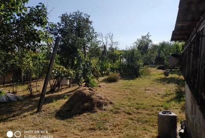 Casă cu 3 camere în Cantemir