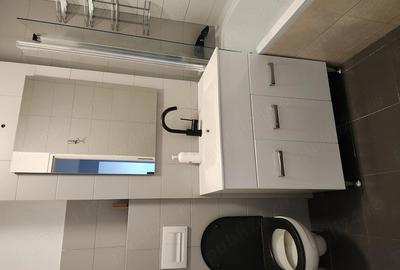Apartament cu 3 camere decomandat în Mărăști - 5