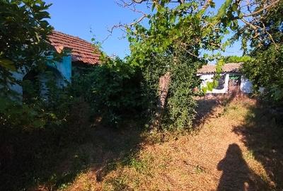 Teren Construcții intravilan de 1050 mp, în Pecineaga - 4