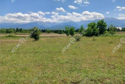 Teren Construcții intravilan de 5000 mp, în Central - 5