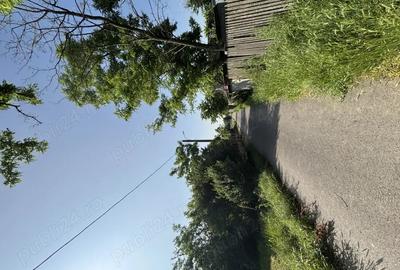 Teren de 5000 mp, în Fusea - 1