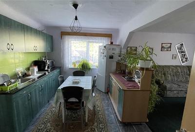 Casă individuală cu 3 camere cu Teren 2500 Mp în Ulieș - 16