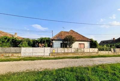 Casă cu 4 camere cu Teren 1500 Mp în Sud