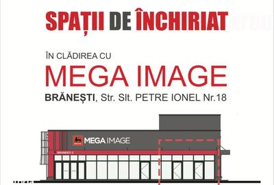 Spațiu comercial, de 41 mp, în Brănești