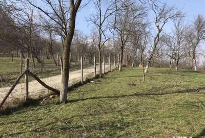 Teren de 1660 mp, în Teișani - 7