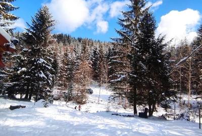 Casă cu 2 camere în Lepșa - 5