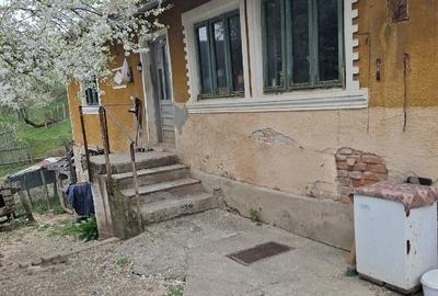 Casă cu 4 camere cu Teren 35000 Mp în Nadanova