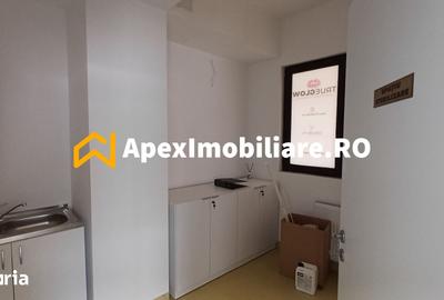 Spațiu comercial, de 146 mp, în Vitan