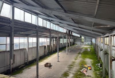 Spațiu industrial, de 800 mp, în Piața Centrală - 8