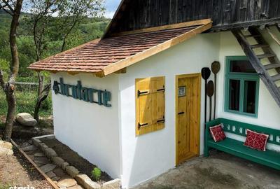 Casă cu 2 camere cu Teren 5032 Mp în Puini