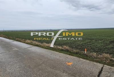 Teren agricol extravilan de 4200 mp, în Corbu - 4