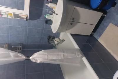 Apartament cu 2 camere semidecomandat în Brezoi - 1