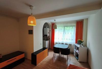 Garsonieră decomandată în Valea Alba - 1