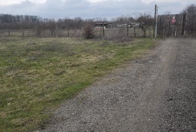 Teren Construcții intravilan de 741 mp, în Băneasa