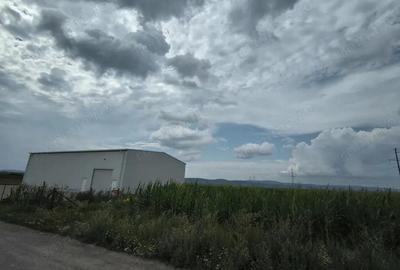Teren de 6300 mp, în Ozun - 5
