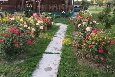 Casă individuală cu 5 camere cu Teren 6000 Mp în Urlueni - 5