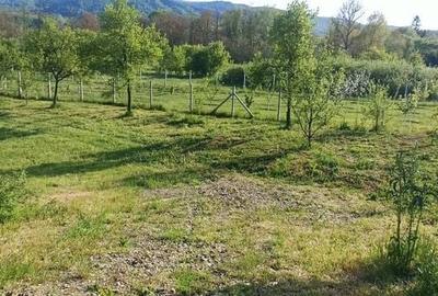 Teren de 1665 mp, în Tisău - 2