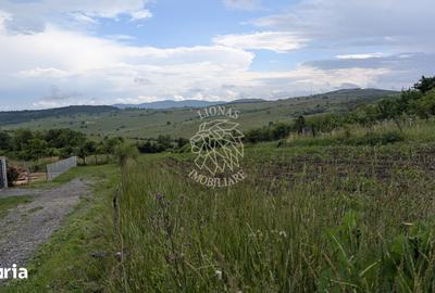 Teren de 3004 mp, în Central
