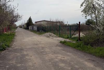 Teren de 700 mp, în Sinești - 7