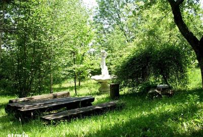 Teren de 14000 mp, în Mihai Viteazu - 5