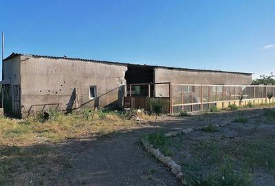 Casă cu 5 camere cu Teren 4500 Mp în Poiana - 1
