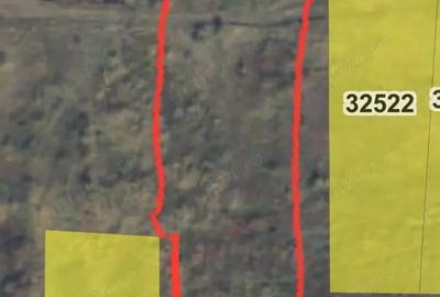 Teren în Vulturu - 2