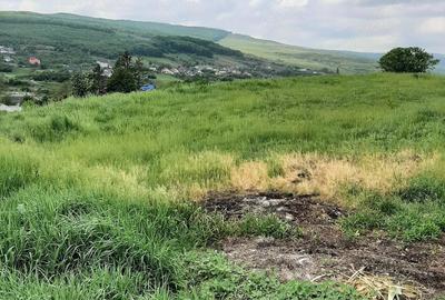 Teren de 1600 mp, în Central - 1