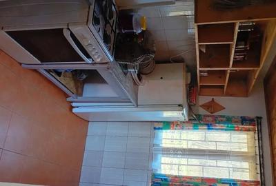 Casă cu 3 camere cu Teren 200 Mp în Câmpu lui Neag - 7