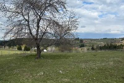 Teren de 1716 mp, în Mărișel