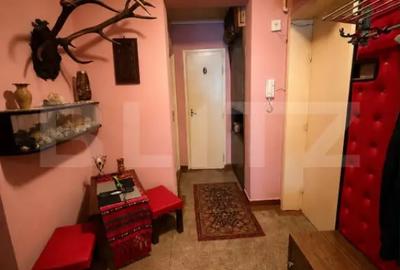 Apartament cu 4 camere decomandat în Careiului