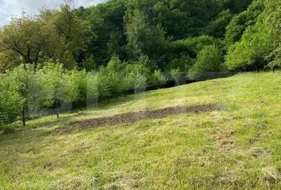 Casă cu 5 camere cu Teren 3000 Mp în Hida - 20