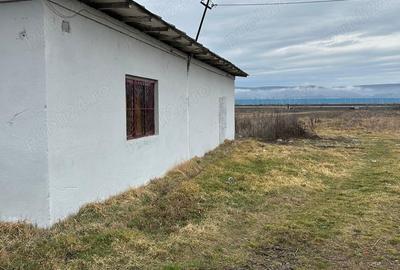 Spațiu comercial, de 200 mp, în Dobrogostea - 3
