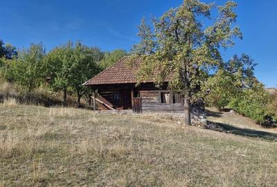 Casă cu 2 camere în Ponoară