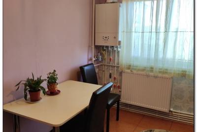 Apartament cu 2 camere decomandat, mobilat în Boema - 4