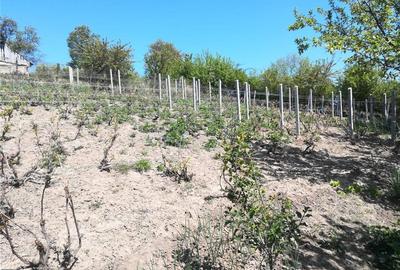 Casă în Rafaila - 2