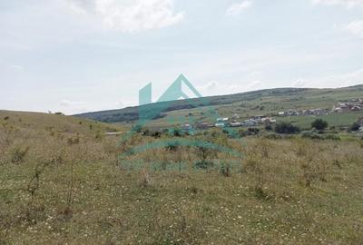 Teren agricol extravilan de 5000 mp, în Exterior Nord - 4