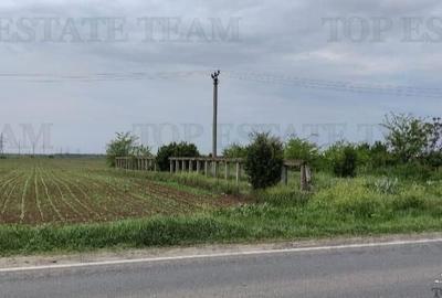 Spațiu comercial, în Cazasu - 1