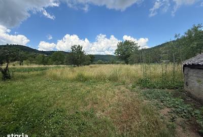 Casă cu 2 camere cu Teren 2600 Mp în Poieni - 2
