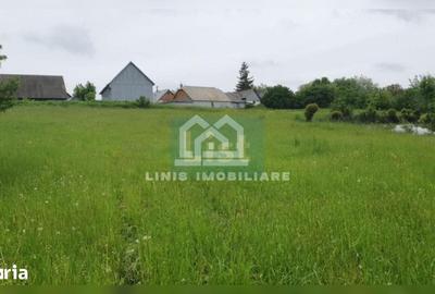 Casă cu 2 camere cu Teren 2000 Mp în Bălcăuți