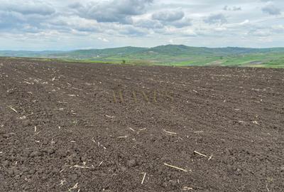 Teren agricol extravilan de 10200 mp, în Țagu - 3