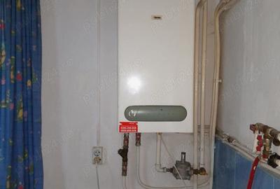 Casă cu 9 camere cu Teren 7500 Mp în Central - 4