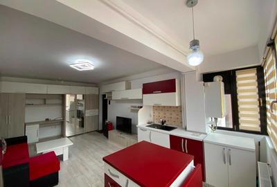 Apartament cu 2 camere semidecomandat, mobilat în Valea Lupului - 2