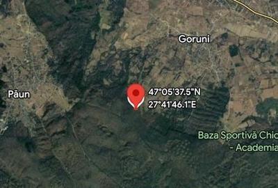 Spațiu comercial, în Goruni - 3